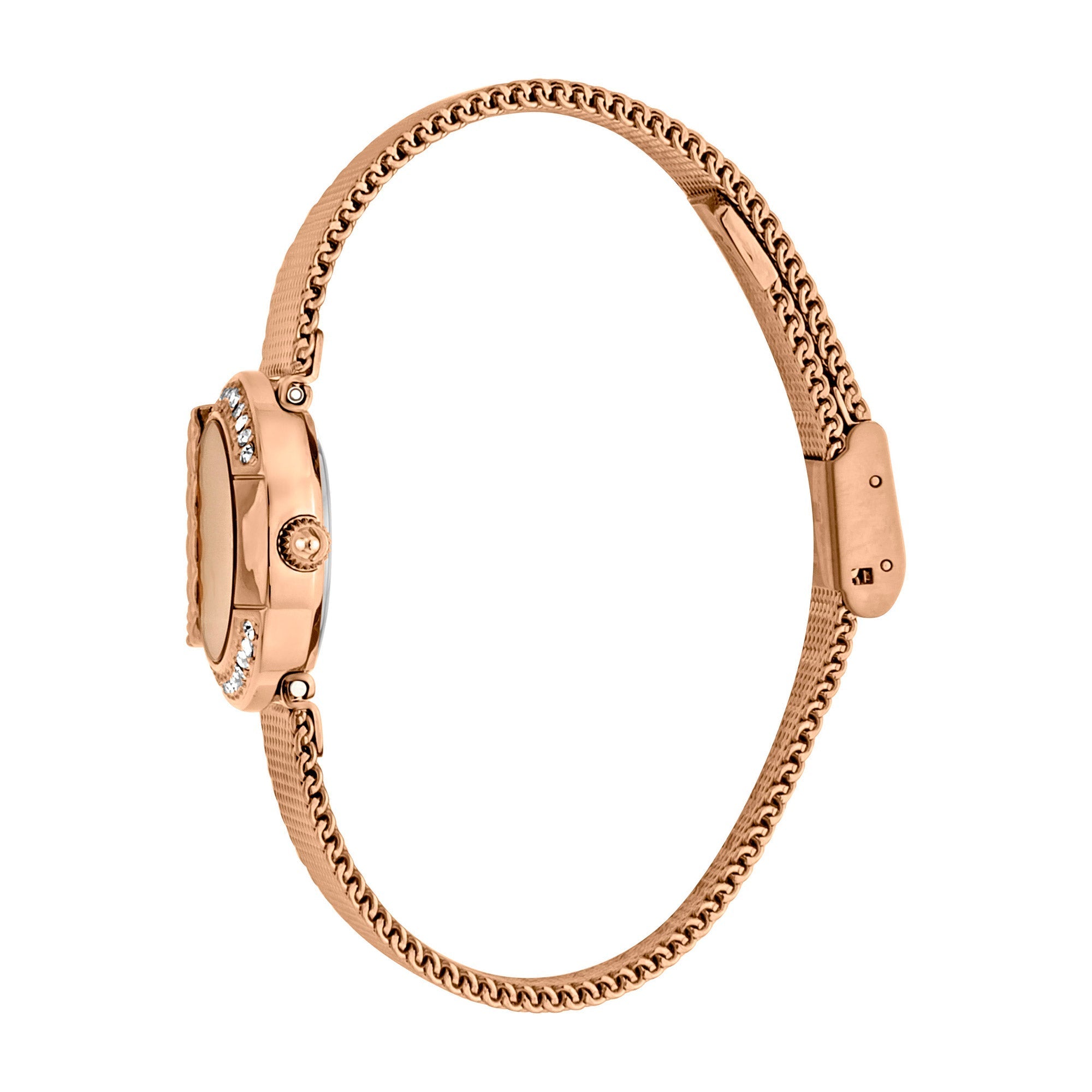 Just Cavalli C by JC Rose Gold