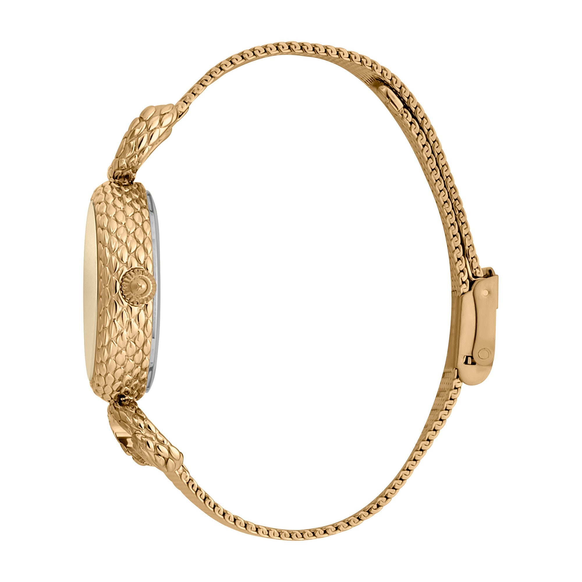 Just Cavalli Snake Inside Gold