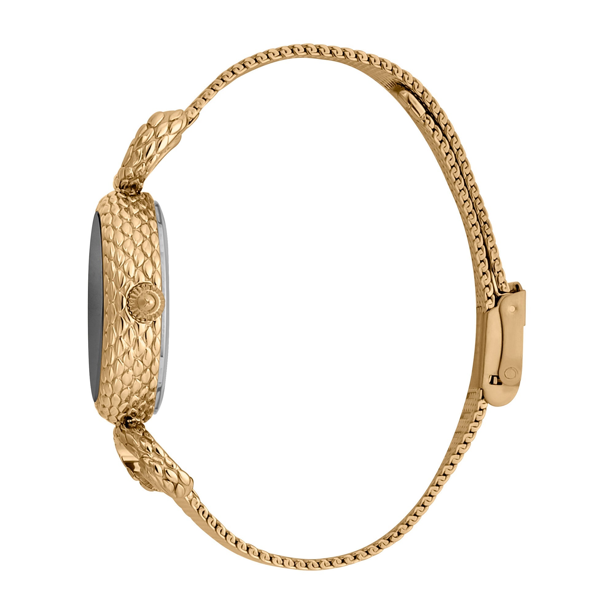 Just Cavalli Snake Inside Gold Grey