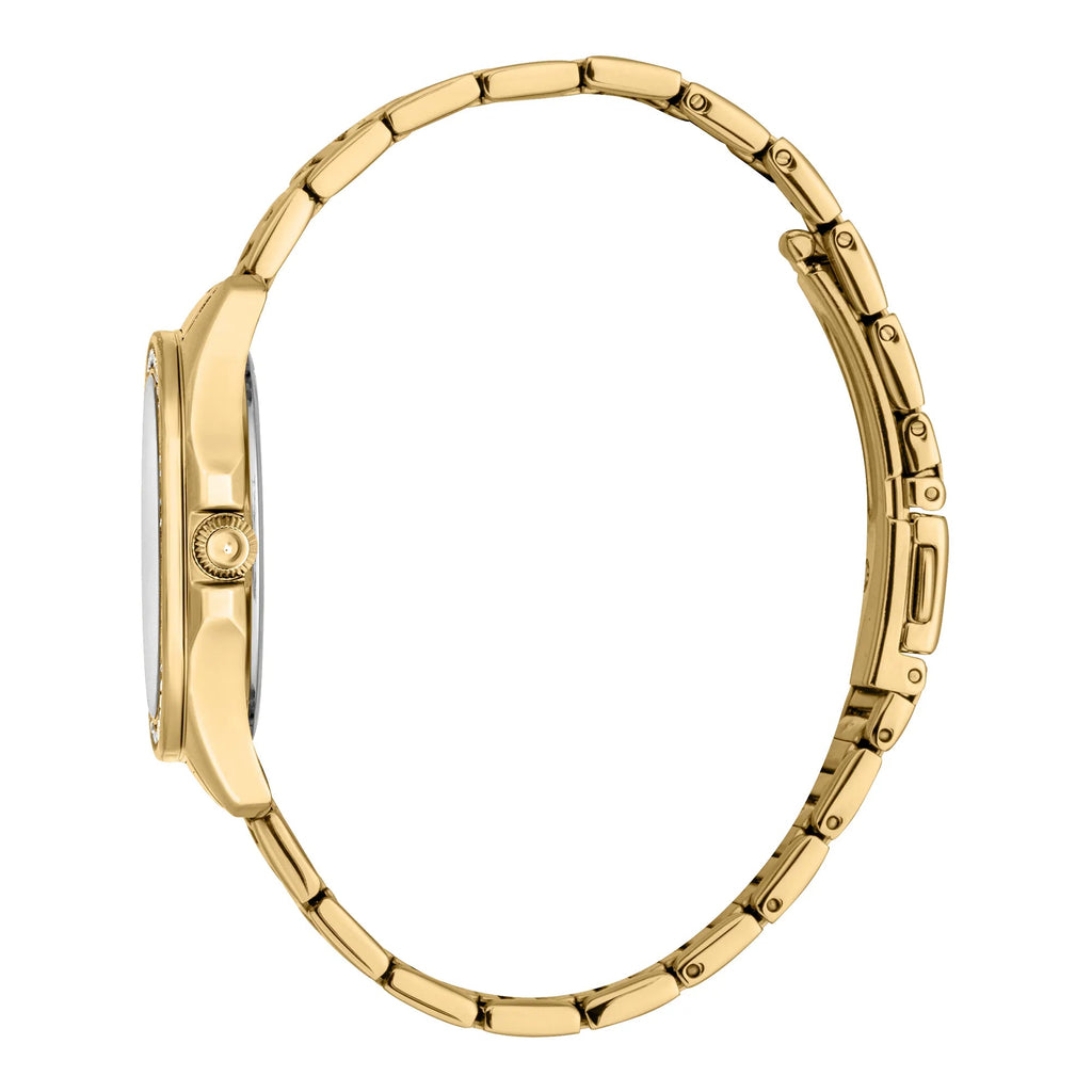 Just Cavalli Quadro Yellow Gold
