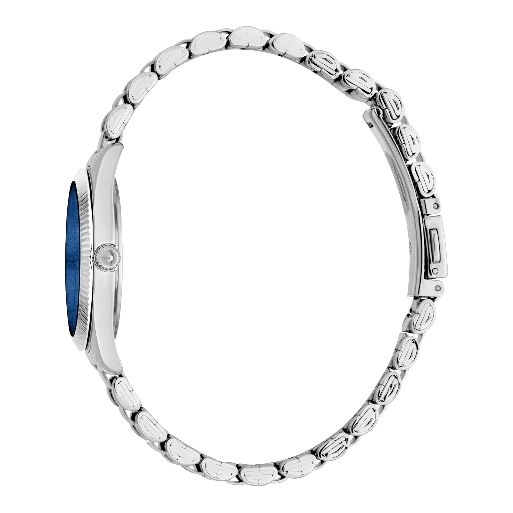 Just Cavalli Pacentro Silver Blue