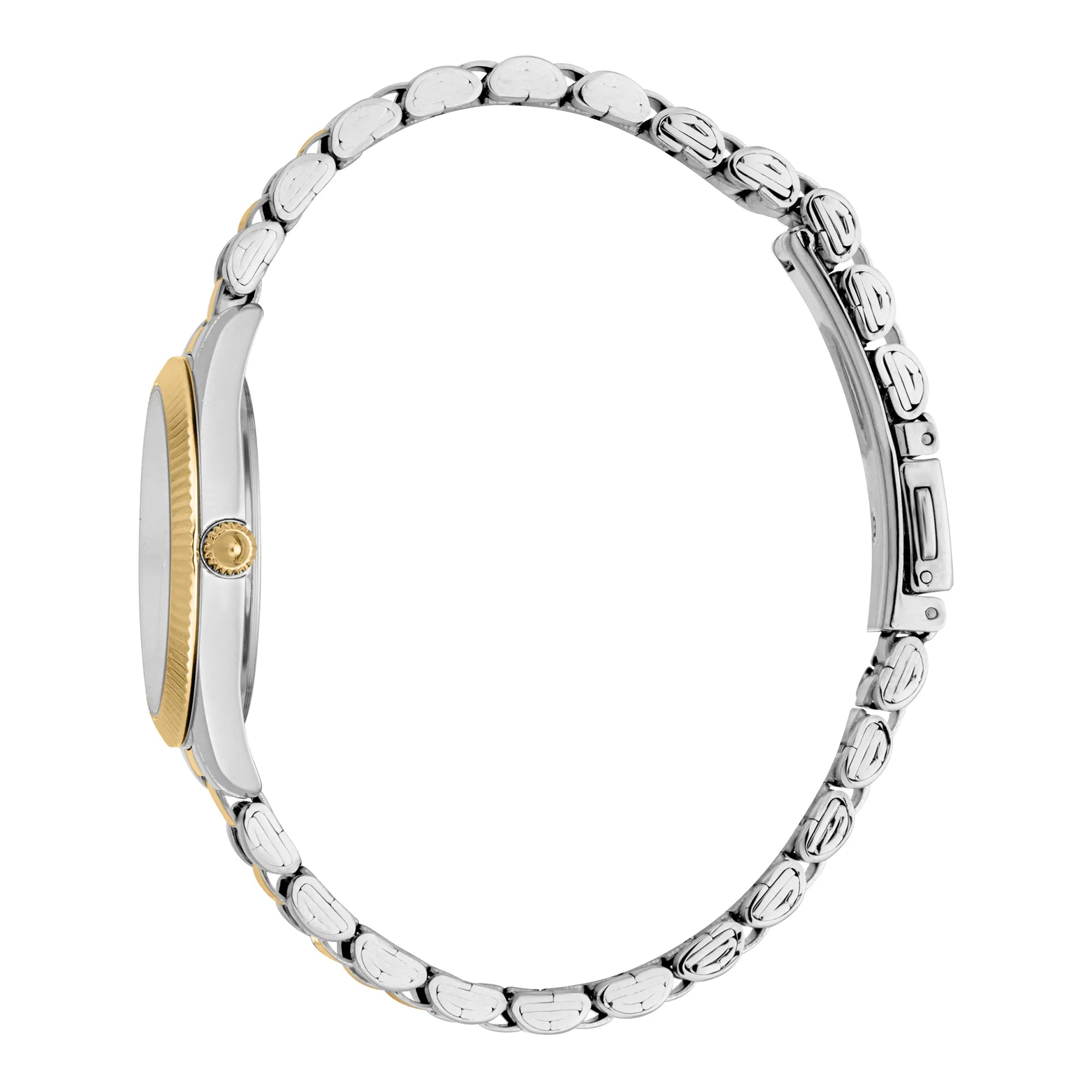Just Cavalli Pacentro Two Tones YG Silver