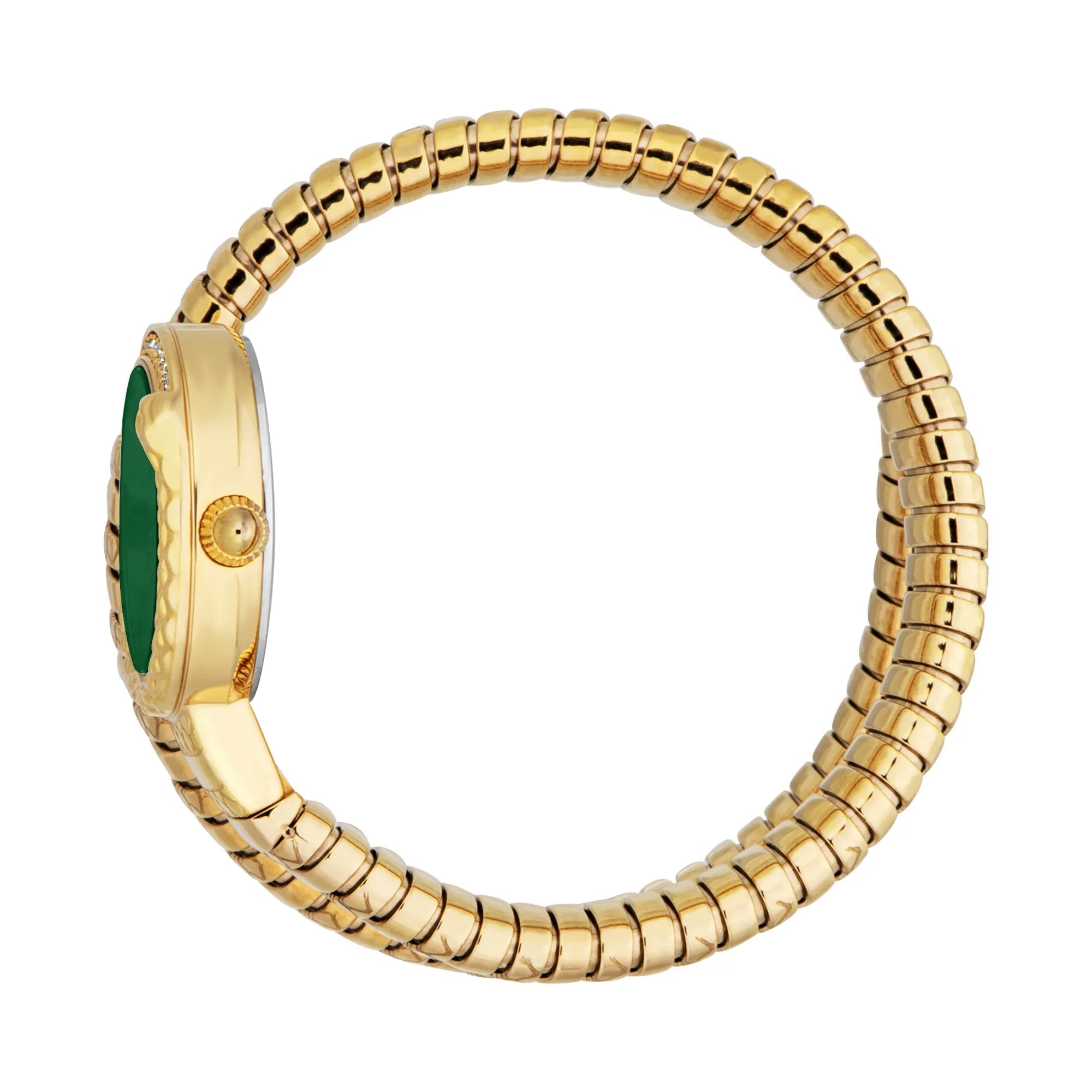 Just Cavalli Cerchio Snake Yellow Gold Bottle Green