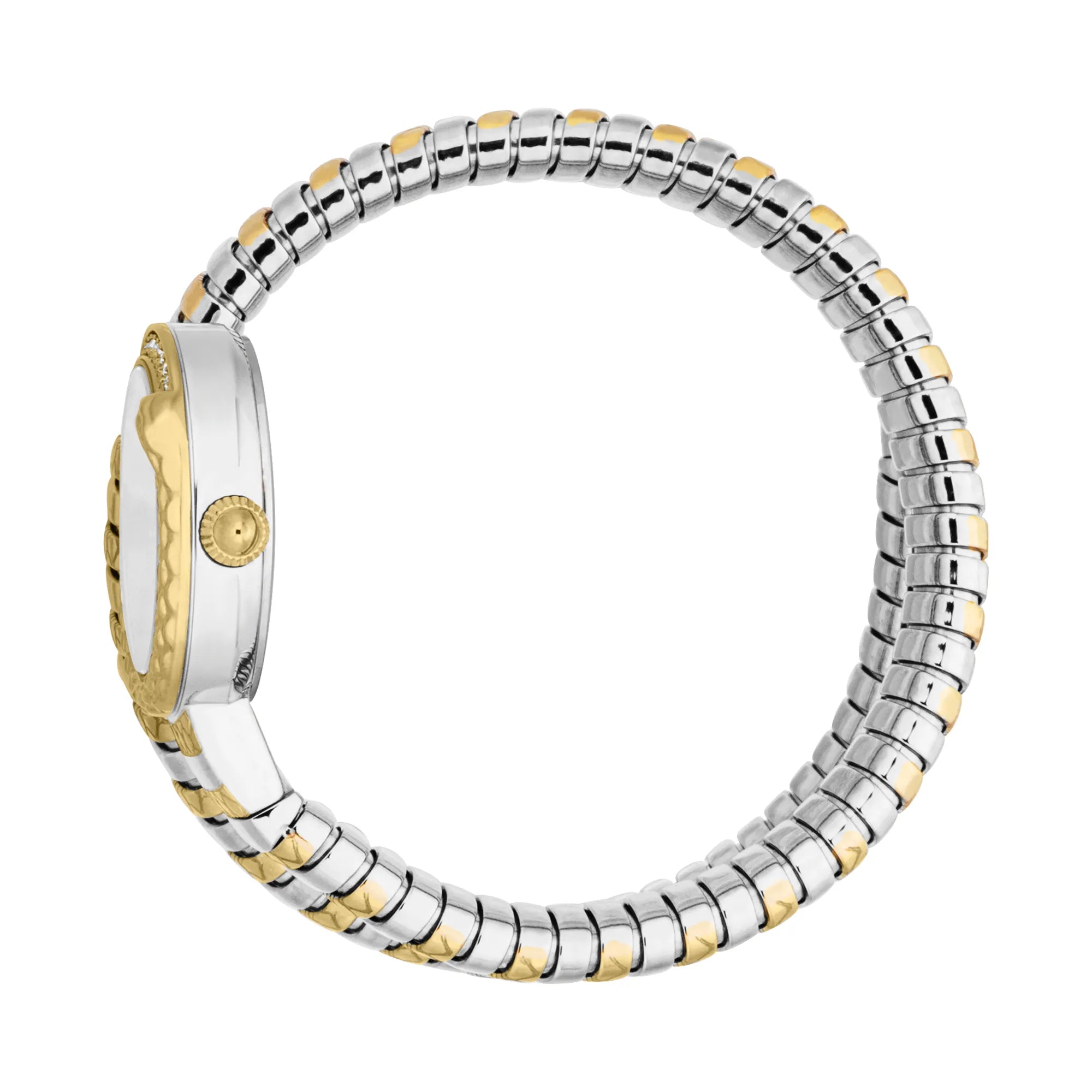 Just Cavalli Cerchio Snake Two Tones YG Silver Grey