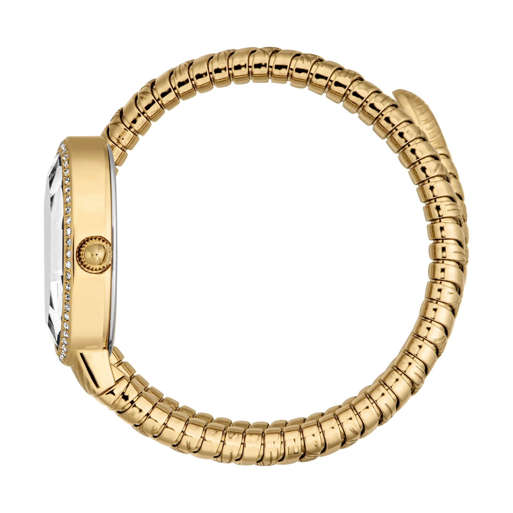 Just Cavalli Velina Yellow Gold Silver