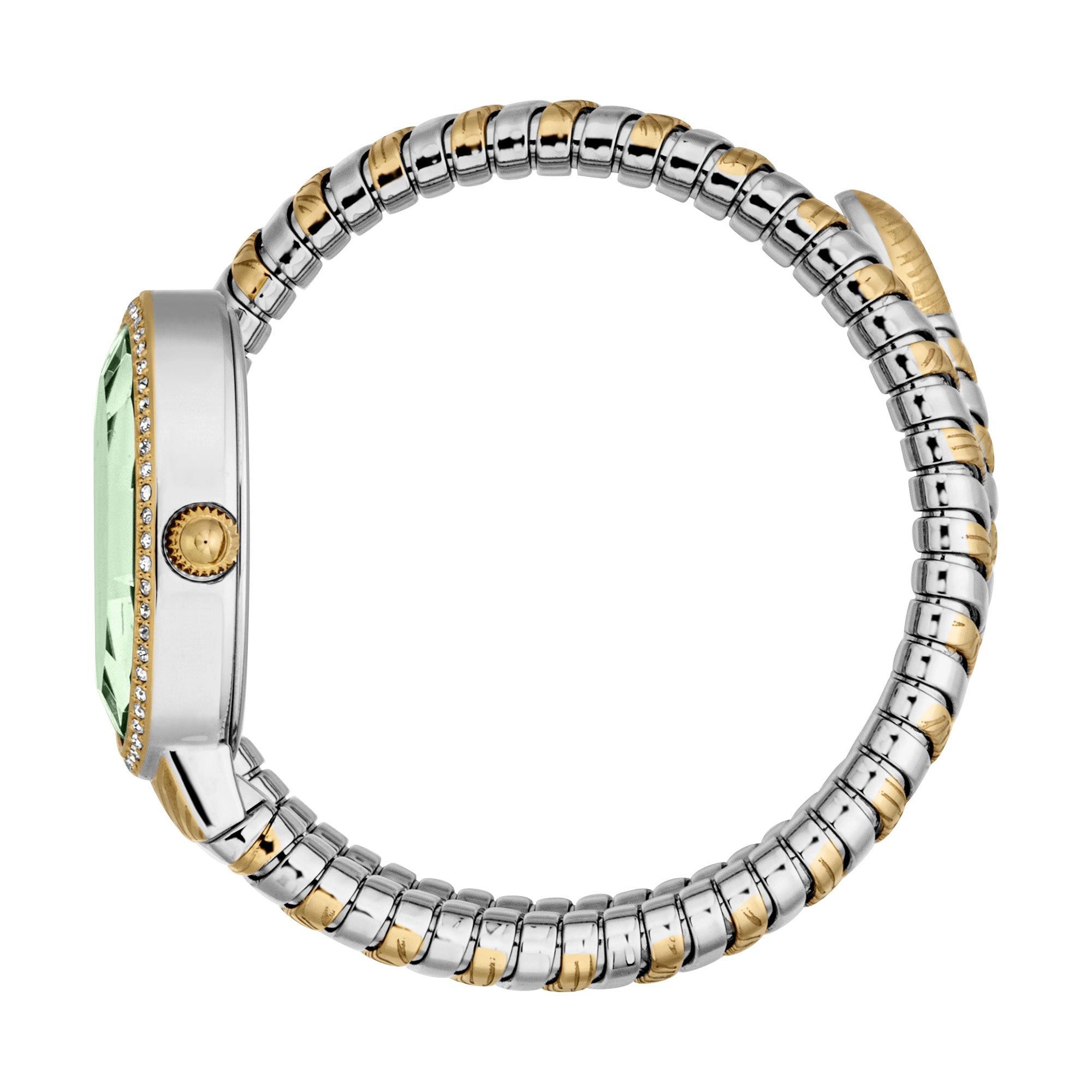 Just Cavalli Velina Silver Yellow Gold Green