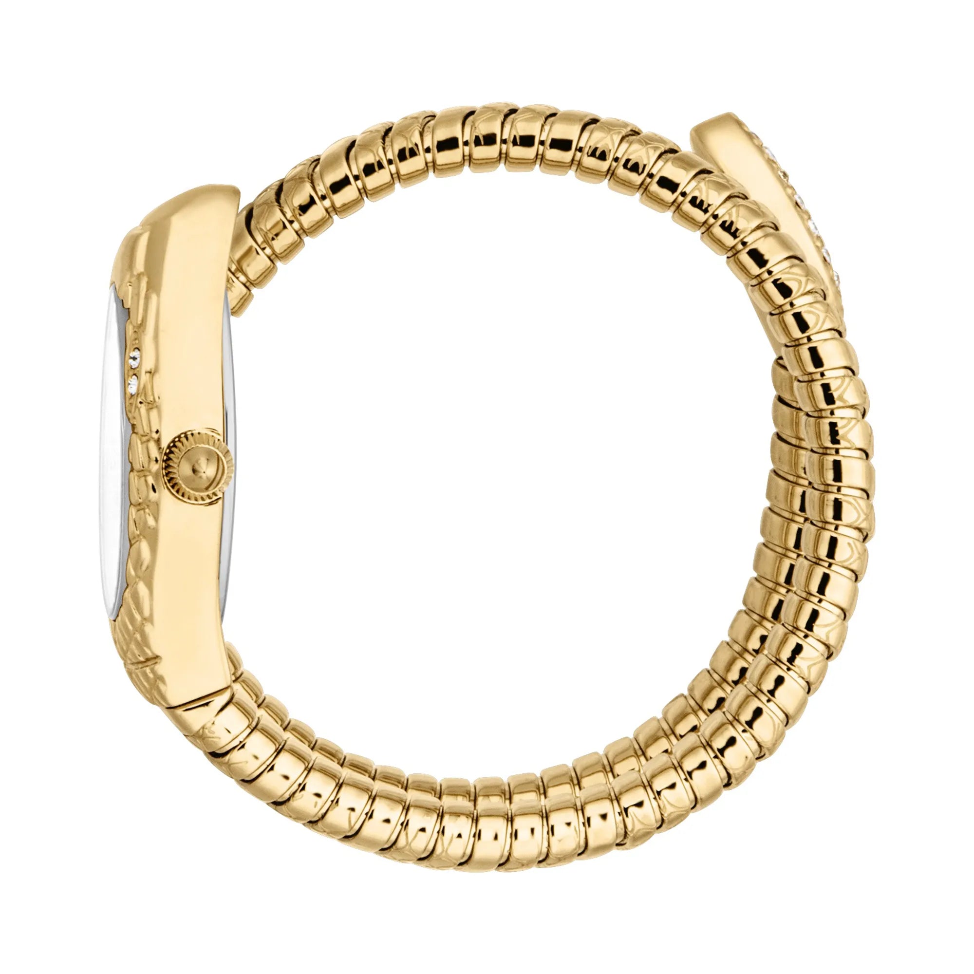 Just Cavalli Vetra Yellow Gold Silver