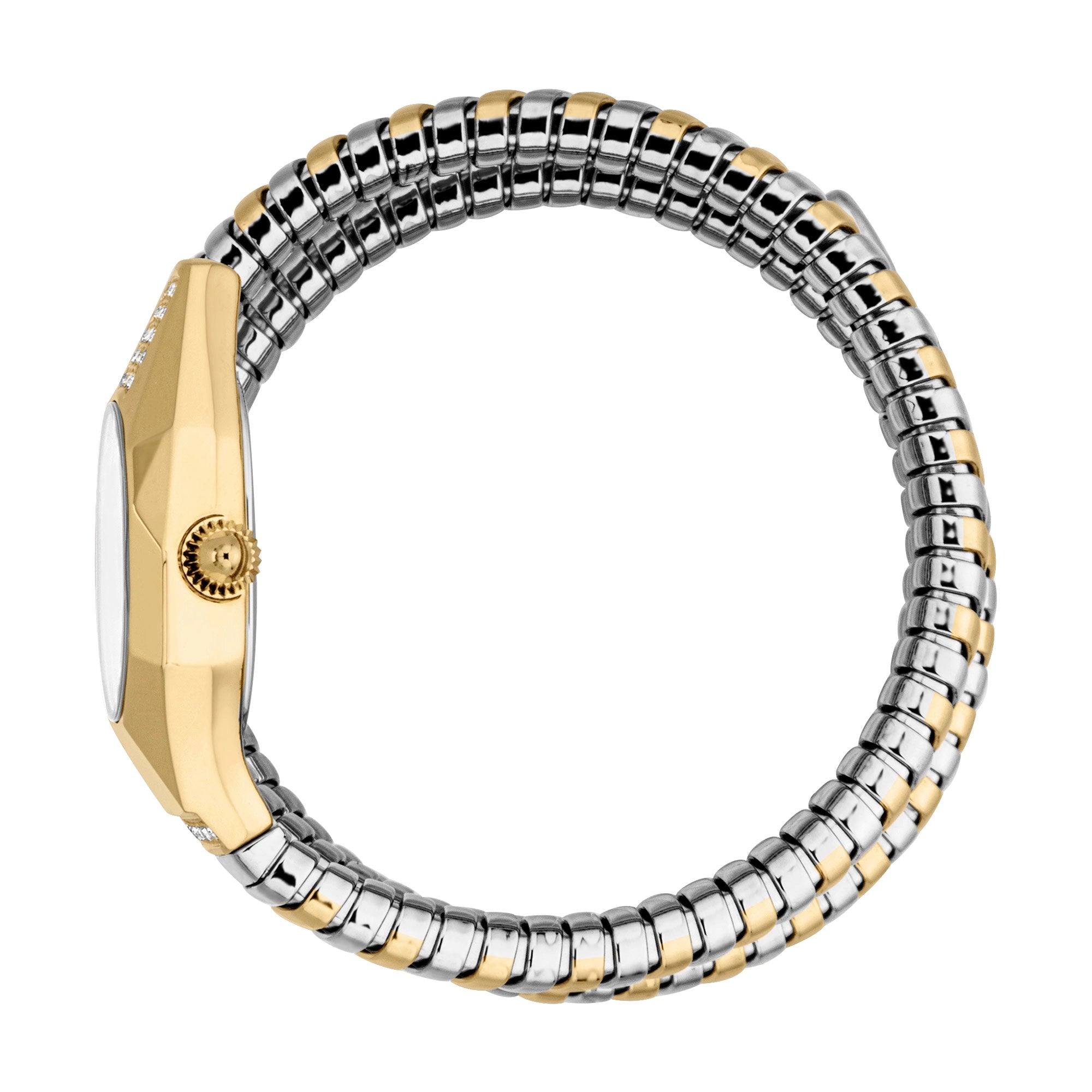 Just Cavalli Lunara Silver Yellow Gold Silver