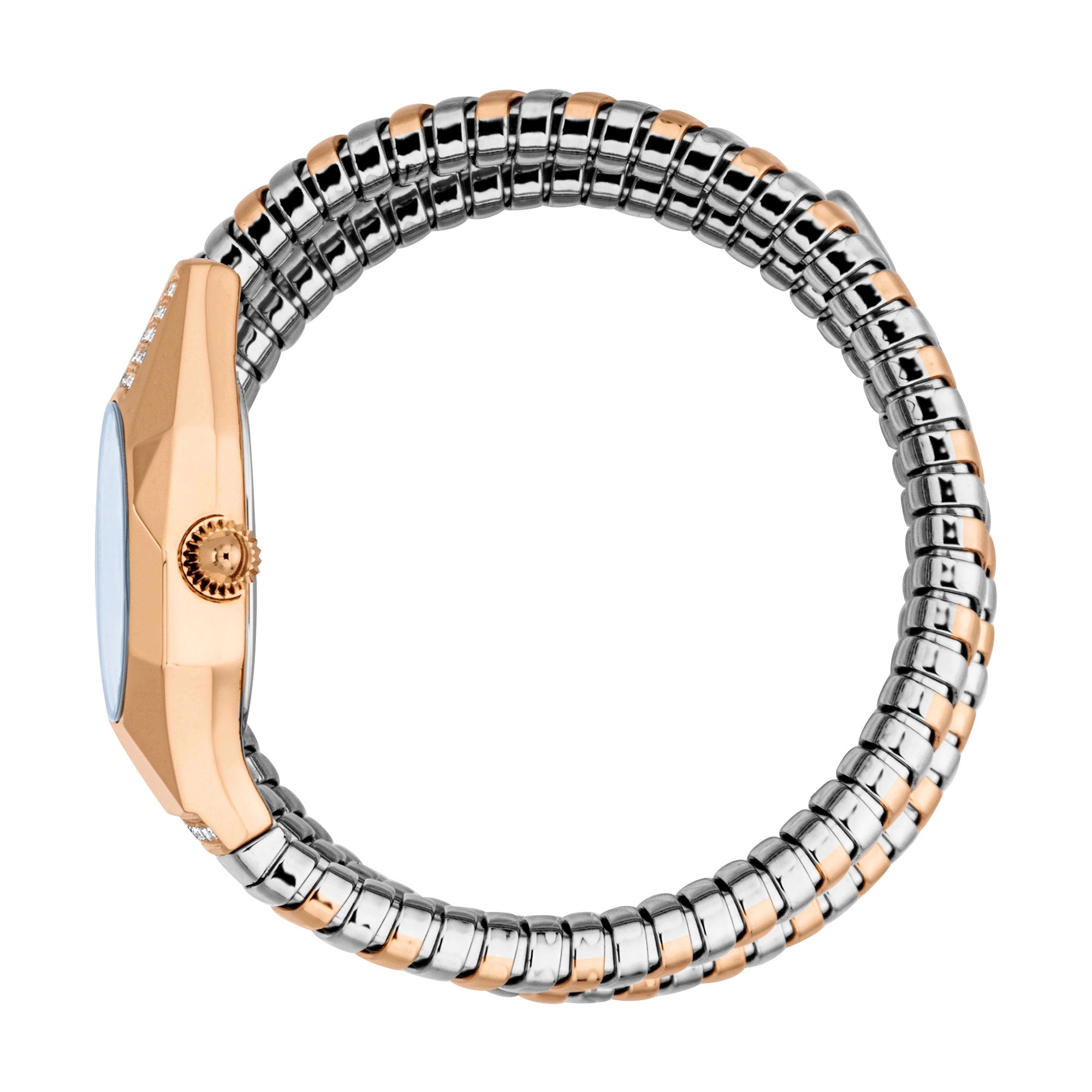 Just Cavalli Lunara Silver Rose Gold Blue