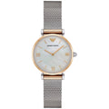 Emporio Armani Ar2068 Ladies Mother Of Pearl Watch