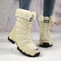 15bb374ce3a04b47a20f5c442c11cade