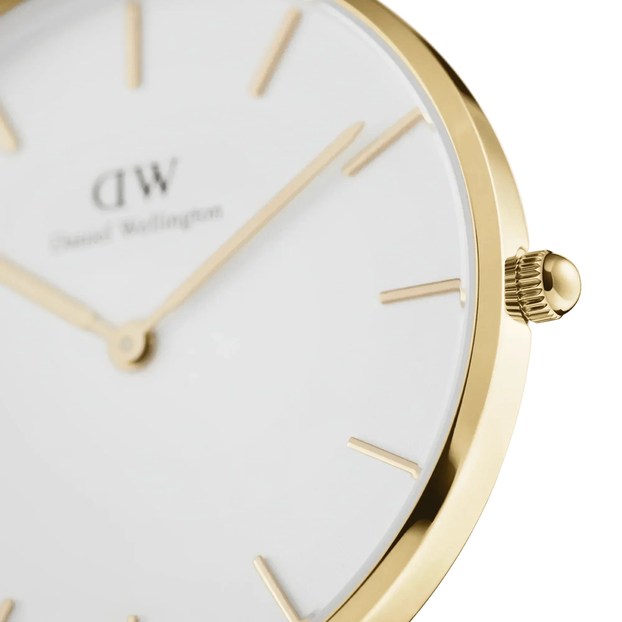 Daniel Wellington Ladies Watch Dw00100346